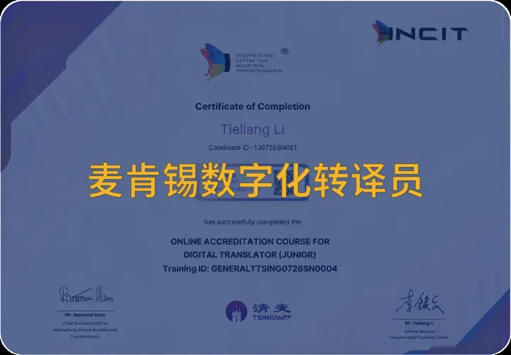 麦肯锡数字化转译员